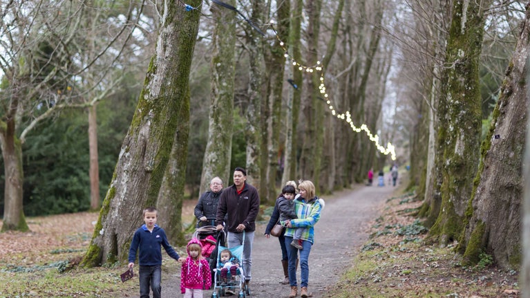 A family walk along Lime Avenue in the garden at Saltram in Plymouth